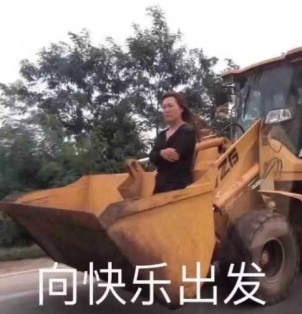 多款老式月饼评测,快来看一下你pick谁?