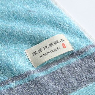 竹之锦毛巾竹纤维抗菌童巾竹丽尔抑菌小毛巾2条 柔软吸水洗脸家用