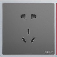 PNTU 国际电工 插座面板 5孔