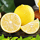  生鲜专享 安岳柠檬 精选3粒 中大果单果(90-110g)新鲜黄柠檬水果莫吉托产地直发　