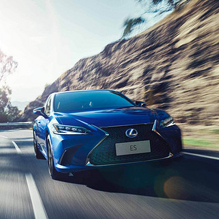 LEXUS 雷克萨斯 ES 22款 260 自动 尊享版