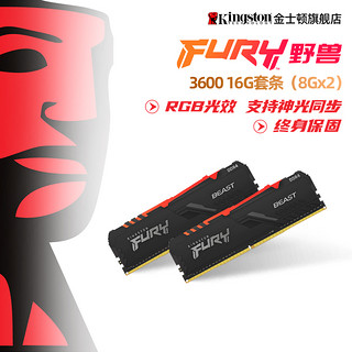 Kingston 金士顿 骇客神条系列 DDR4 3600MHz RGB 台式机内存 灯条 黑色 16GB 8GBx2 HX436C17FB3AK2/16