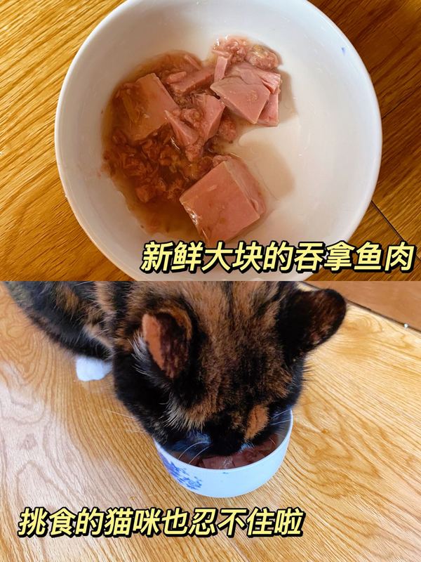 选粮选对不选贵，麦富迪BARF生骨肉冻干粮承包毛孩子的食谱～