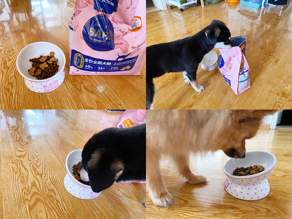 选粮选对不选贵,麦富迪BARF生骨肉冻干粮承包毛孩子的食谱~