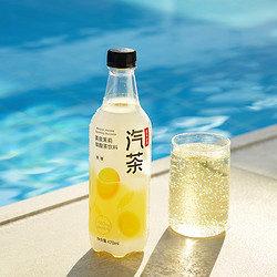 NONGFU SPRING 农夫山泉 汽茶 470ml*15瓶