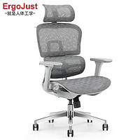 Ergojust 爱高佳 居家办公室电脑椅人体工学椅  R9灰色+挂衣架