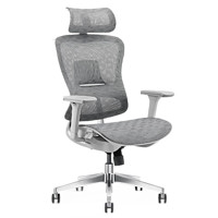 Ergojust 爱高佳 R5黑色灰色弓形椅电脑网椅人体工学椅 R5灰色进口网+衣架