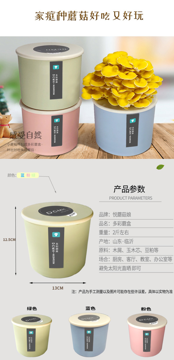炫彩蘑盒 种植平菇盒