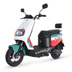 LUYUAN 绿源 S20 电动摩托车