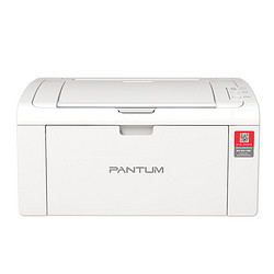 PANTUM 奔图 P2210W 黑白激光打印机