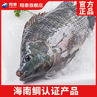 XIANGTAI 翔泰 三去罗非鱼冷冻三去净膛速冻BAP认证海南国产福寿鱼淡水鱼类