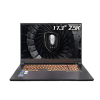 未来人类 T17 风暴 17.3英寸游戏本（i7-12700H、16GB、2TB、RTX3060）