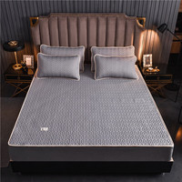 Duolanshi 多兰诗 冰丝凉席二件套 凉感灰 1.2*2.0m