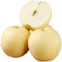  河北皇冠梨白梨 5斤大果(单果约250g+) 净重8.9-9斤
