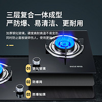 INSE 樱雪 Q2020B家用厨房大火力燃气双灶