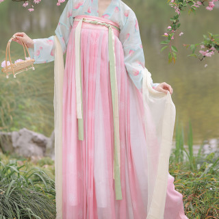 妃亦坊 唐制汉服 桃小柒 女士齐胸衫裙 FYF-042 淡绿色+粉色 XL