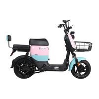 PALLA 新大洲 K13 电动自行车 TDT51Z 48V24Ah锂电池 粉红色