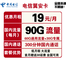 CHINA TELECOM 中国电信 翼安卡 19元月租（60G通用流量、30G定向流量、300分钟通话）