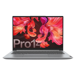 Lenovo 联想 小新 Pro 14 2021款 14英寸笔记本电脑（R7-5800H、16GB、512GB SSD）