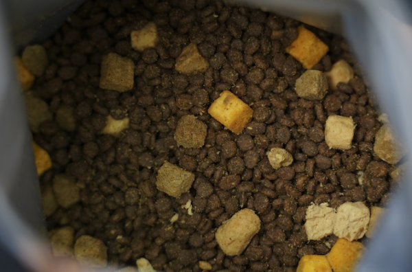 网易天成全价冻干生骨肉三拼冻干猫粮新上线,猫孩子主粮平地升级