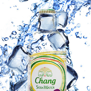 Chang 象牌 苏打水 百香果味 325ml*12瓶