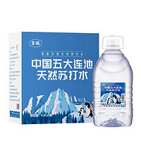 雪鹅 天然苏打水 天然碱性无添加 饮用苏打水 4.5L*2瓶 整箱装