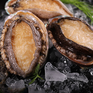 澳角灯塔 鲜冻鲍鱼 200g