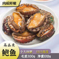 挑霸 新鲜海捕鲍鱼鲜活冷冻海鲜水产鲍鱼 畅享鲍鱼7头/份(拍5件约30-35个)
