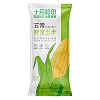 PLUS会员：十月稻田 五常鲜食玉米  2.2kg