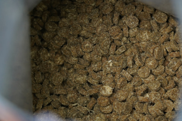 “国货烘焙第一粮”?全网第一篇,带你深挖网易天成新品烘焙猫粮!