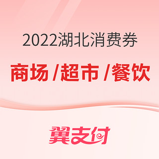 翼支付 2022湖北消费券