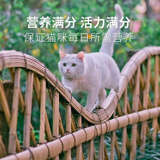 Aier 艾尔 猫粮10kg全价海洋鱼味幼猫粮成猫粮老年猫粮宠物天然主粮20斤 牛肉+鲑鱼500克5包