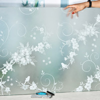 汰森 白花鸟 玻璃贴 70*500cm