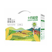 京东百亿补贴：十月稻田 五常鲜食玉米 2.2kg