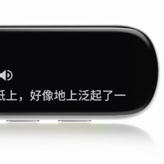 iFLYTEK 科大讯飞 P20 Plus 电子词典笔 16GB 冰川银