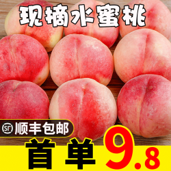 水蜜桃新鲜水果10斤当季现摘超脆甜毛桃应季整箱包邮孕妇软密桃子