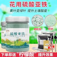 硫酸亚铁栀子花肥料专用颗粒水溶液茉莉花蓝莓土壤改良调酸性肥料