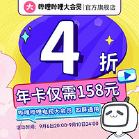 bilibili 哔哩哔哩 电视端大会员年卡