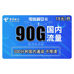 CHINA TELECOM 中国电信 翼安卡 19元每月 90G流量（60G通用+30G定向）+300分钟通话