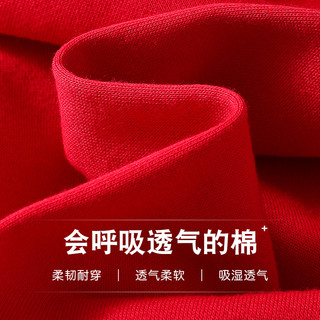 女童秋季连衣裙儿童裙子秋装小童加绒纱裙春秋宝宝长袖公主裙秋冬（黑色-JQ01138、80cm ）