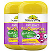 Nature's Way 澳萃维 儿童复合维生素软糖 浆果味 60粒*2瓶