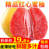 尹福记 红心蜜柚 4.5-5斤 2-3个装 简装