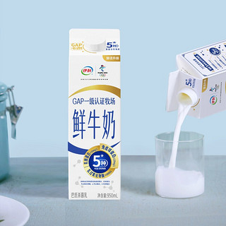 伊利鲜牛奶950ml巴氏全脂新鲜低温牛奶营养早餐奶 鲜牛奶950ml 2盒
