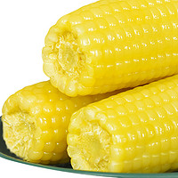 Corn God 玉米神 甜糯玉米 单根200g~260g 24个 1.8kg*3袋