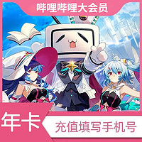 bilibili 哔哩哔哩 大会员12个月