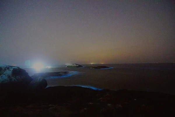 大海沙滩海鲜！品牌新一代设计！这里都有了！宁波象山绿城喜来登度假酒店