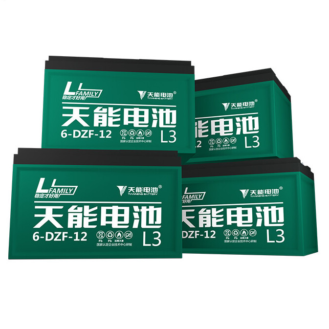 TIANNENG BATTERY 天能电池 L3系列 6-DZF-12 电动车蓄电池 48V12AH