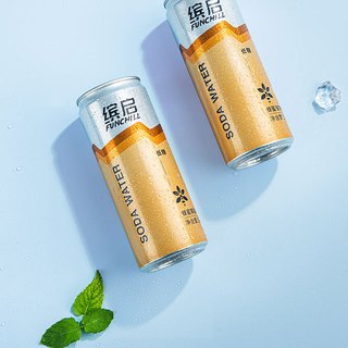 FUNCHILL 缤启 苏打水 蜂蜜薄荷味