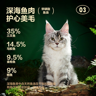 网易天成 全价猫用 主食罐 3种口味组合（鱼肉罐+禽肉罐+红肉罐）