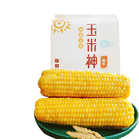 Corn God 玉米神 甜糯玉米 单根200g~260g 8个 1.8kg